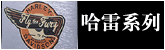 zippo����-����ϵ��