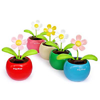 http://images.d1.com.cn/shopadmin/shopimg/03012901/01203912_xxb.jpg