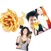 http://images.d1.com.cn/shopadmin/shopimg/08102301/01510542_xxb.jpg