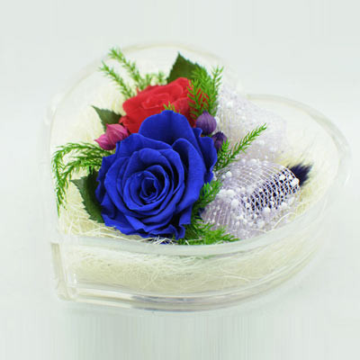 【圣诞首选】两情相悦"蓝色妖姬"精美礼盒装(红蓝玫瑰)